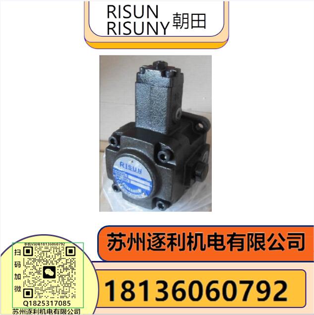 臺灣RISUNY電機(jī)油泵VD1-30F-A3 液壓泵臺灣朝田VD1-40F-A3油壓泵